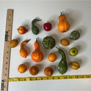 Lot of 17 Miniature Rustic Gourds Vegetables Autumn Harvest Fall Decor Styrofoam